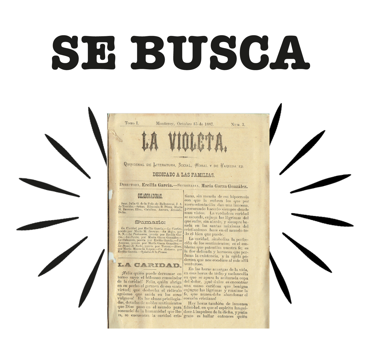 se busca_la violeta